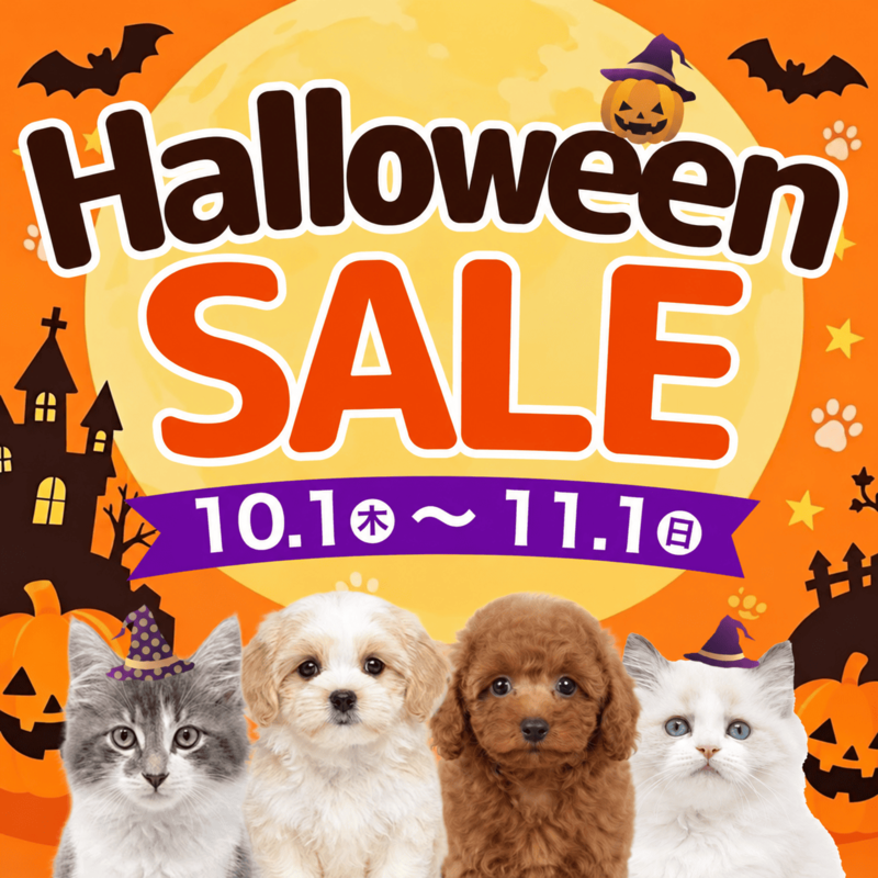 ハロウィンセール実施中