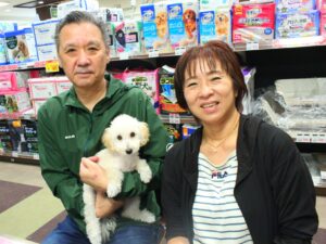 トイプードルちゃん【横浜永田台店】